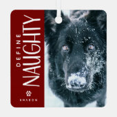 Grappig Definieer Naughty Pet Foto Keepsake Gift Metalen Ornament (Achterkant)