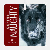 Grappig Definieer Naughty Pet Foto Keepsake Gift Metalen Ornament (Voorkant)