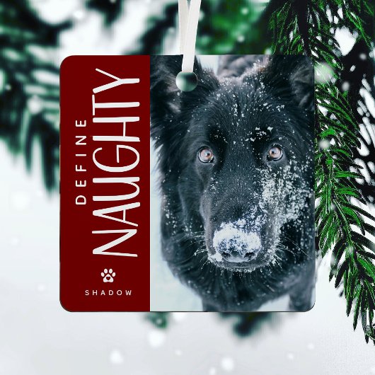 Grappig Definieer Naughty Pet Foto Keepsake Gift Metalen Ornament