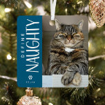 Grappig Definieer Naughty Pet Foto Keepsake Gift Metalen Ornament<br><div class="desc">Deze grappige fotoreportage met kerstversiering zou het perfecte cadeau zijn voor een huisdiereigenaar dit vakantieseizoen! Het ontwerp is voorzien van een foto van uw keuze,  de leuke typografie Definieer Naughty,  een schattige pootafdruk en de namen van de huisdieren. De blauwe achtergrond kan worden gewijzigd in elke kleur.</div>