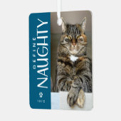 Grappig Definieer Naughty Pet Foto Keepsake Gift Metalen Ornament (Voorkant links)