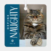 Grappig Definieer Naughty Pet Foto Keepsake Gift Metalen Ornament (Achterkant)
