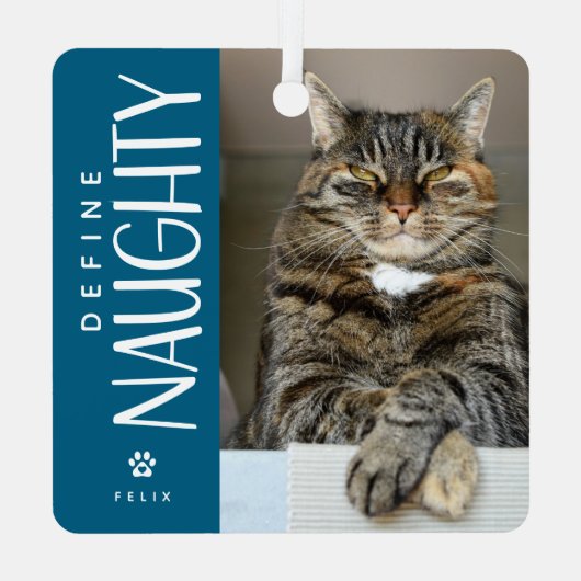Grappig Definieer Naughty Pet Foto Keepsake Gift Metalen Ornament (Achterkant)