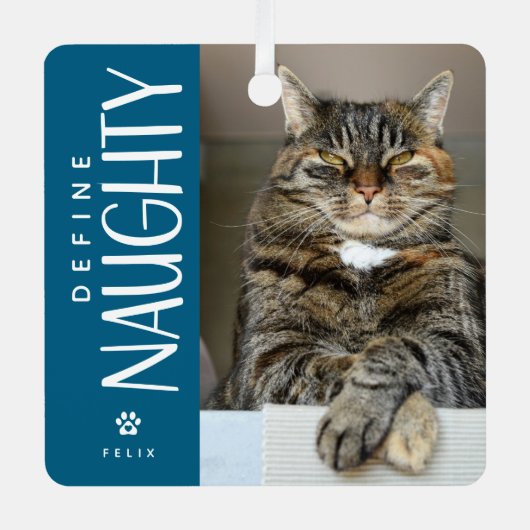 Grappig Definieer Naughty Pet Foto Keepsake Gift Metalen Ornament (Voorkant)