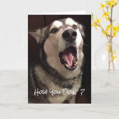 Grappig denken aan je Alaskan Malamute Dog foto Kaart (Gele Bloem)