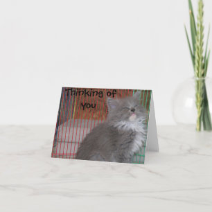 Grappig denken van je kaart