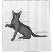 Grappig Diagram van Kat Anatomie Humor Nerdy Douchegordijn (Voorkant)