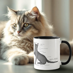 Grappig Diagram van Kat Anatomie Humor Nerdy Mok