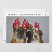 Grappig Dier Custom Dog Foto Kerst Afbeelding Feestdagenkaart (Voorkant)
