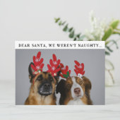 Grappig Dier Custom Dog Foto Kerst Afbeelding Feestdagenkaart (Staand voorkant)