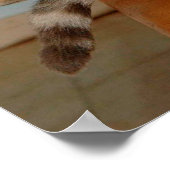 Grappig dierenketsen met humoristische foto's poster (Hoek)