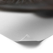 Grappig dierenketsen met humoristische foto's poster (Hoek)