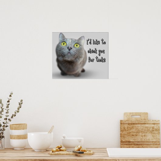 Grappig dierenketsen met humoristische foto's poster (Keuken)
