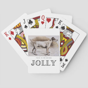 Grappig, dit is dat ik alleen ben van deze hond..  pokerkaarten