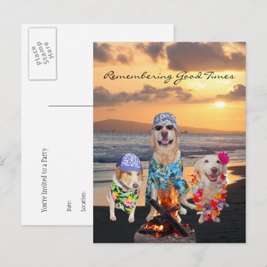 Grappig Dog Graduation Party op het strand Briefka Uitnodiging Briefkaart (Voorkant / Achterkant)