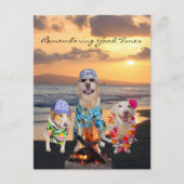 Grappig Dog Graduation Party op het strand Briefka Uitnodiging Briefkaart (Voorkant)