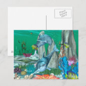 Grappig dolfijnenspelen met andere vissen briefkaart (Voorkant / Achterkant)