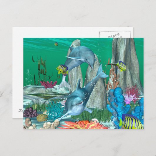 Grappig dolfijnenspelen met andere vissen briefkaart (Voorkant / Achterkant)