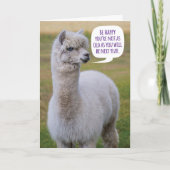 Grappig Dolly Llama Birthday Wisdom Kaart (Voorkant)