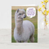 Grappig Dolly Llama Birthday Wisdom Kaart (Gele Bloem)
