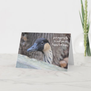 Grappig Duck Birthday Card, hoop dat je dag Ducky  Kaart