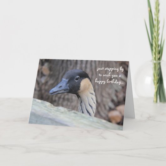 Grappig Duck Birthday Card, hoop dat je dag Ducky  Kaart (Voorkant)