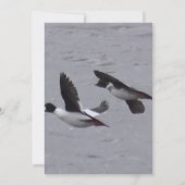 Grappig Duck jachtverjaardagskaart. Kaart (Achterkant)