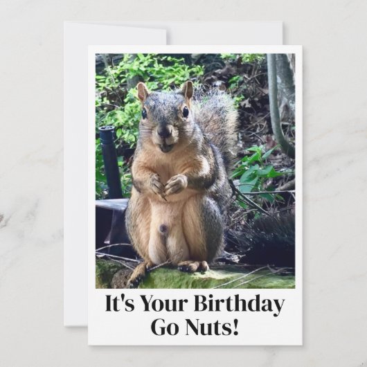 Grappig eekhoorn Go Nuts Het is je Kaart (Voorkant)