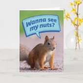 Grappig eekhoorn - Wil je mijn noten zien? Birthda Kaart (Gele Bloem)