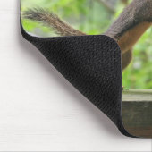 Grappig eekhoorntje Afbeelding ~ Ga ervoor! Muismat (Hoek)