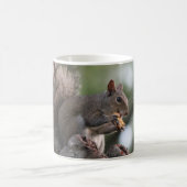 Grappig eekhoorntje Mok, oh gek, ik ben uit koffie Koffiemok (Center)
