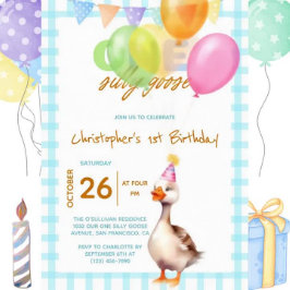 Grappig Een Gekke Goose Blue Boy 1e Verjaardag Kaart