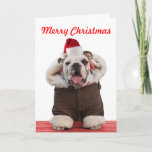 Grappig en schattig kerstkaartjes voor Bulldog Feestdagen Kaart<br><div class="desc">Grappig Bulldog met kersthoed, jas en sjaal. Een foto-kerstkaart die alle vrienden die van een hond houden, zal aanbidden, vooral alle fans van een bulldog. De kerstboodschap kan gepersonaliseerd worden. Een ander origineel afbeelding van een van de beste hondenfotografen in het land. Sam Allen fotografeert sinds 2007 honden en andere...</div>