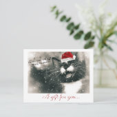 Grappig en Schattig Kerstkattencadeaubon Briefkaart (Staand voorkant)
