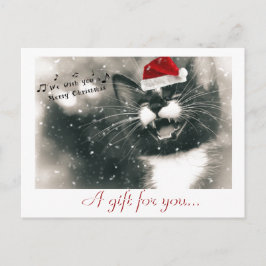 Grappig en Schattig Kerstkattencadeaubon Briefkaart