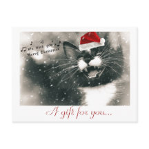 Grappig en Schattig Kerstkattencadeaubon