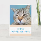 Grappig ernstig bezorgd kat komt goed kaart (Voorkant)