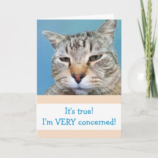 Grappig ernstig bezorgd kat komt goed kaart (Voorkant)