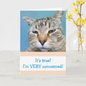 Grappig ernstig bezorgd kat komt goed kaart (Gele Bloem)