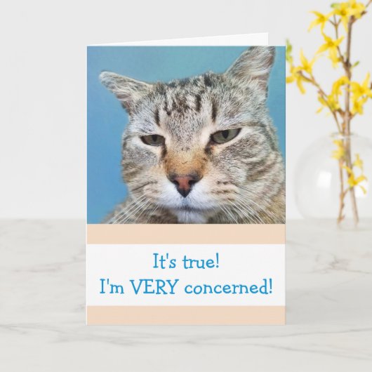 Grappig ernstig bezorgd kat komt goed kaart (Gele Bloem)