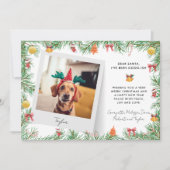 Grappig Feestelijk Huisdier Foto Hond Custom Chris Feestdagenkaart (Voorkant)