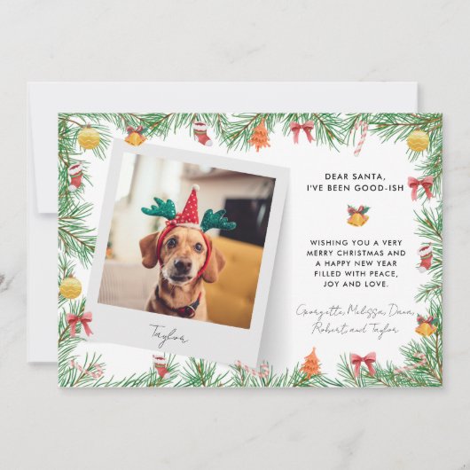 Grappig Feestelijk Huisdier Foto Hond Custom Chris Feestdagenkaart (Voorkant)