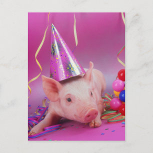 Grappig feestvarken briefkaart
