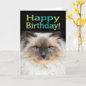 Grappig Fiesty Cat Happy Birthday Je zit in mijn s Kaart (Gele Bloem)