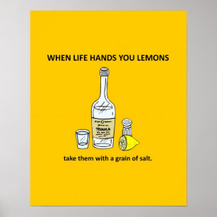 Grappig filosofie als het leven je Lemons Parody g Poster