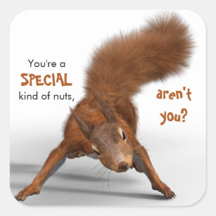 Grappig Foto van de rode eekhoorn   Speciaal soort Vierkante Sticker