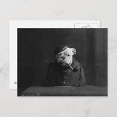 Grappig  foto van Dog in uniform Briefkaart (Voorkant / Achterkant)