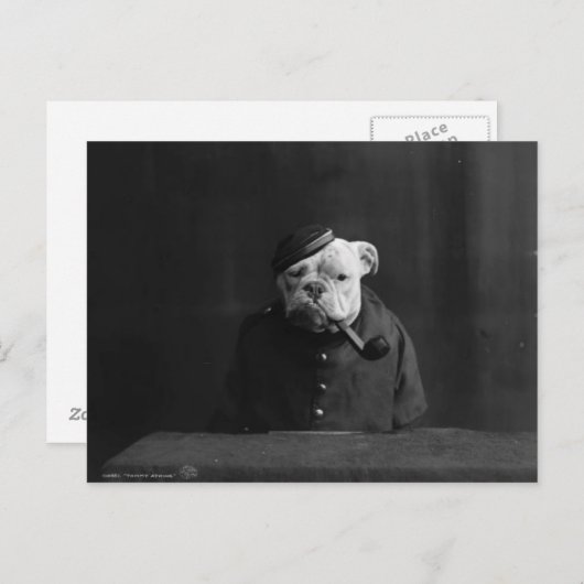 Grappig foto van Dog in uniform Briefkaart (Voorkant / Achterkant)