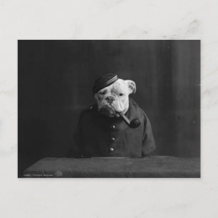 Grappig  foto van Dog in uniform Briefkaart
