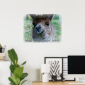 Grappig foto van een lama op een poster (Thuiskantoor)